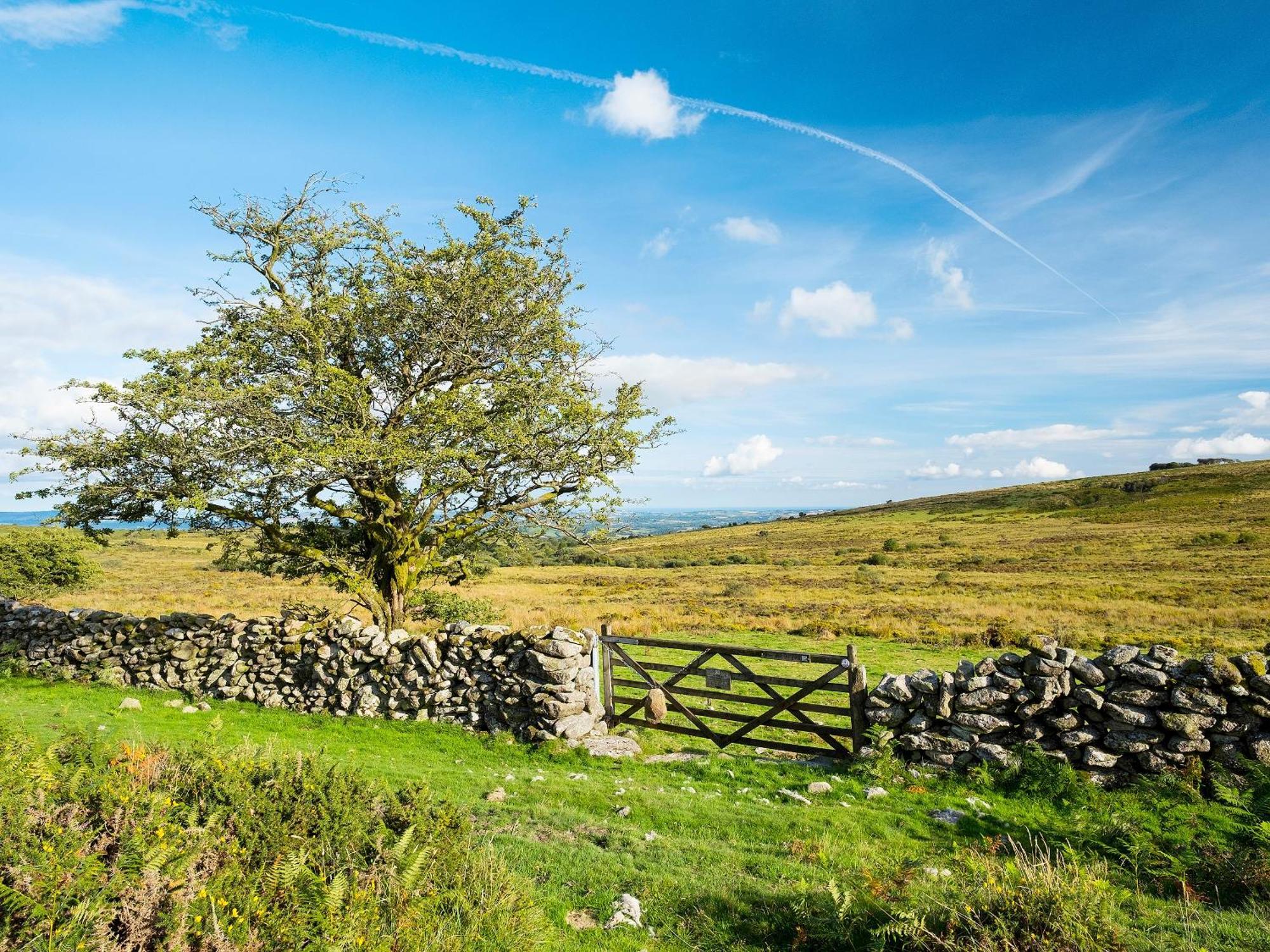 Valley Lodge 2 Callington Esterno foto